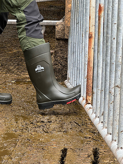 Sicherheitsstiefel S5S-X-Agrifood, Gr. 43